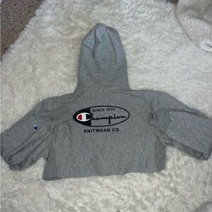 Cropped Champion Gray Hoodie
